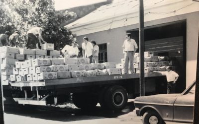 Descarga de cajas de plátanos. Talca, año 1974