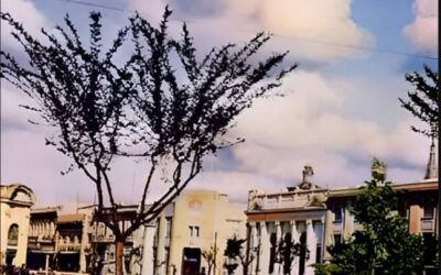 Plaza Cienfuegos de Talca, Ca. Década de 1950