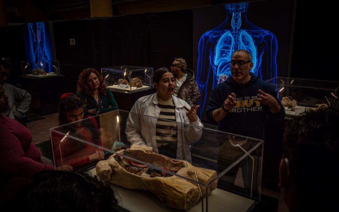 Talca, Epicentro de la Ciencia: BODIES EVOLUTION llega a Plaza Maule