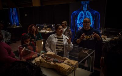 Talca, Epicentro de la Ciencia: BODIES EVOLUTION llega a Plaza Maule
